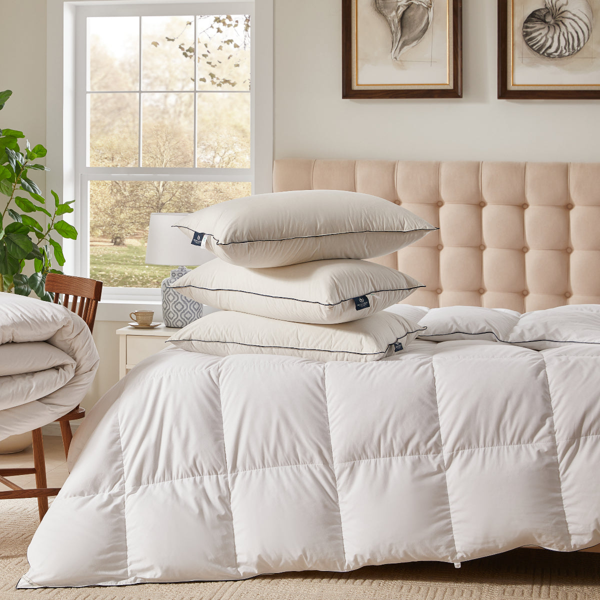 Organic Cotton Down Pillow
