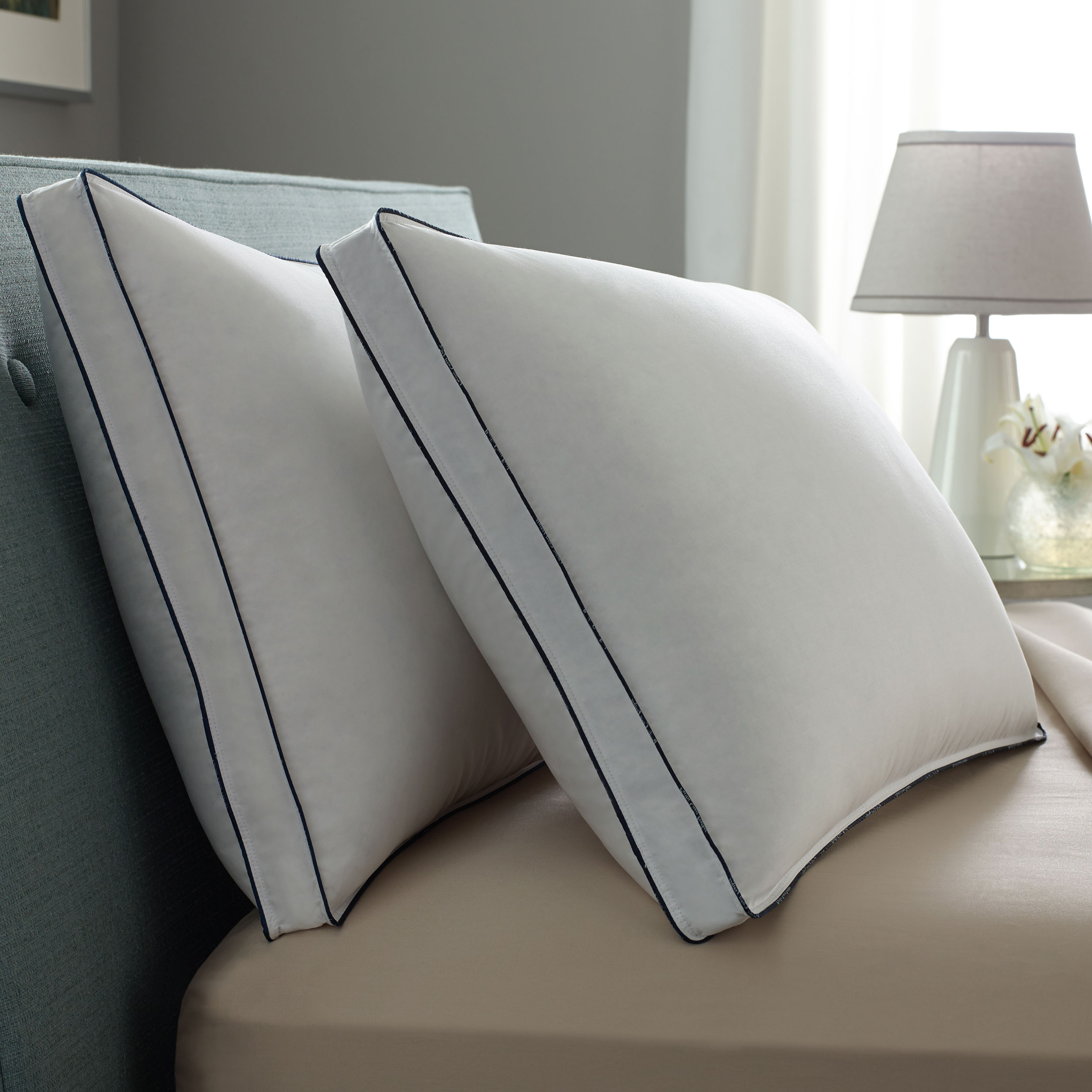 Pacific Coast Double Downaround Medium 2 Pack Pillow 300 Thread Count 550 Fill Power Down & Resilia Feathers - Queen